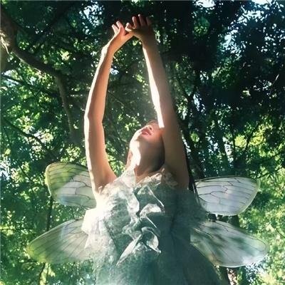 女黑侠木兰花粤语